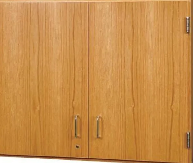 Oak Wall Science Cabinets