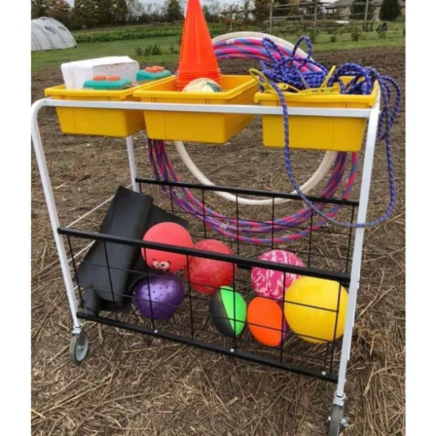 Phys Ed Cart