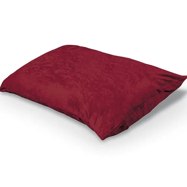Pinto Indoor Pillow
