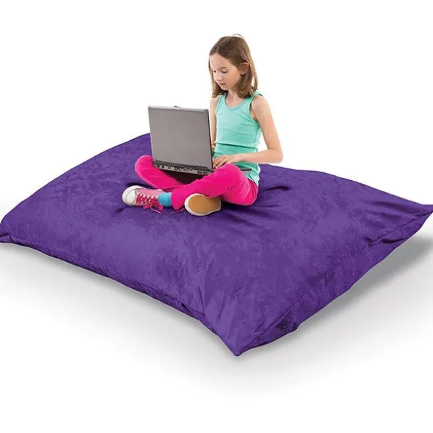 Pinto Indoor Pillow