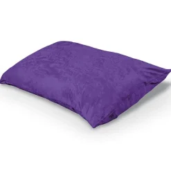 Pinto Indoor Pillow