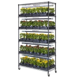 Plant Growing Stand