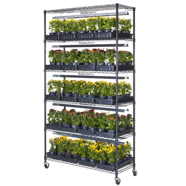 Plant Growing Stand
