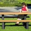 Recycled Multi-Pedestal Picnic Table