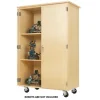 Robotics Cabinets