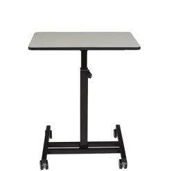 Sit+Stand Student's Desk (26