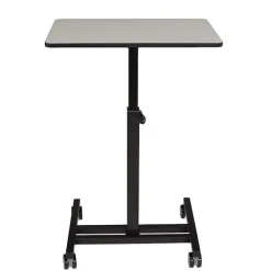 Sit+Stand Student's Desk (26