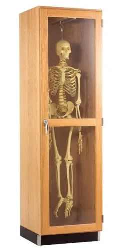 Skeleton Science Cabinet
