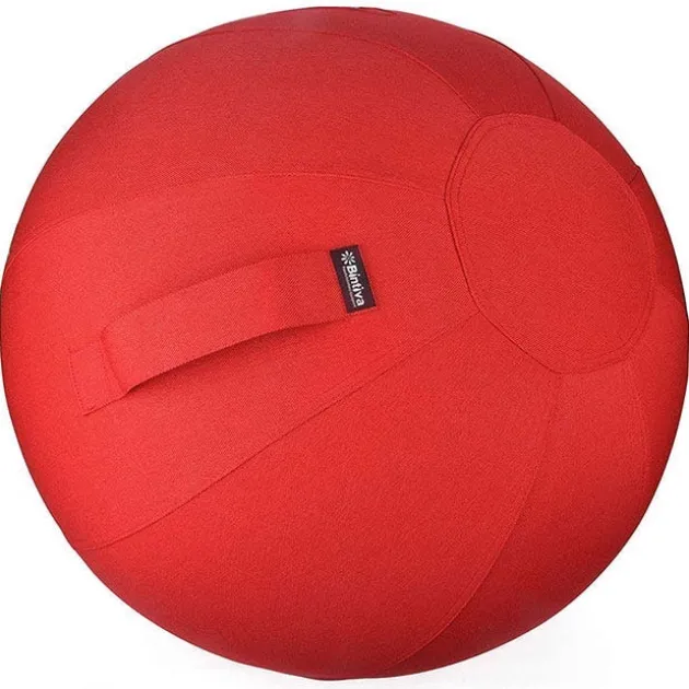 Stability Balls with Washable Cover