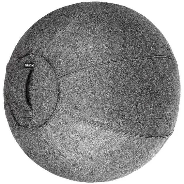 Stability Balls with Washable Cover
