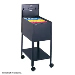 Standard Locking Mobile Steel Tub File