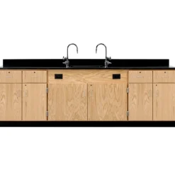 Wall School Science Lab Service Benches