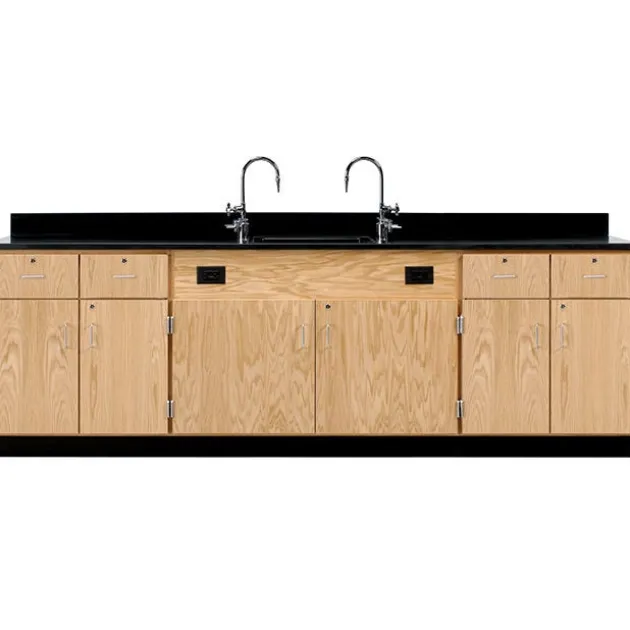 Wall School Science Lab Service Benches