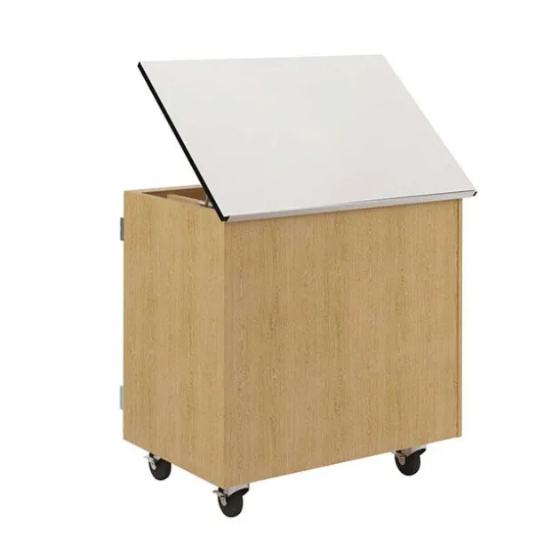 Write-N-Roll Mobile Storage Cabinet